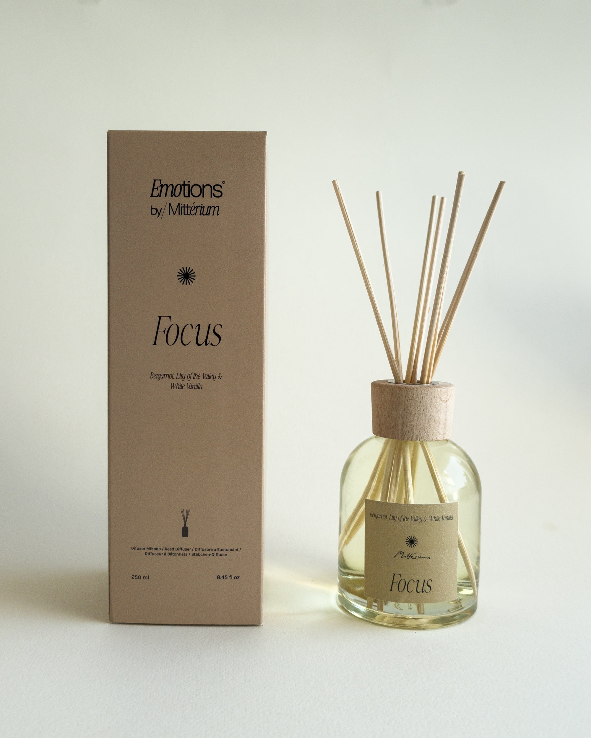 (250 ml) AMBIENTADOR MIKADO FOCUS